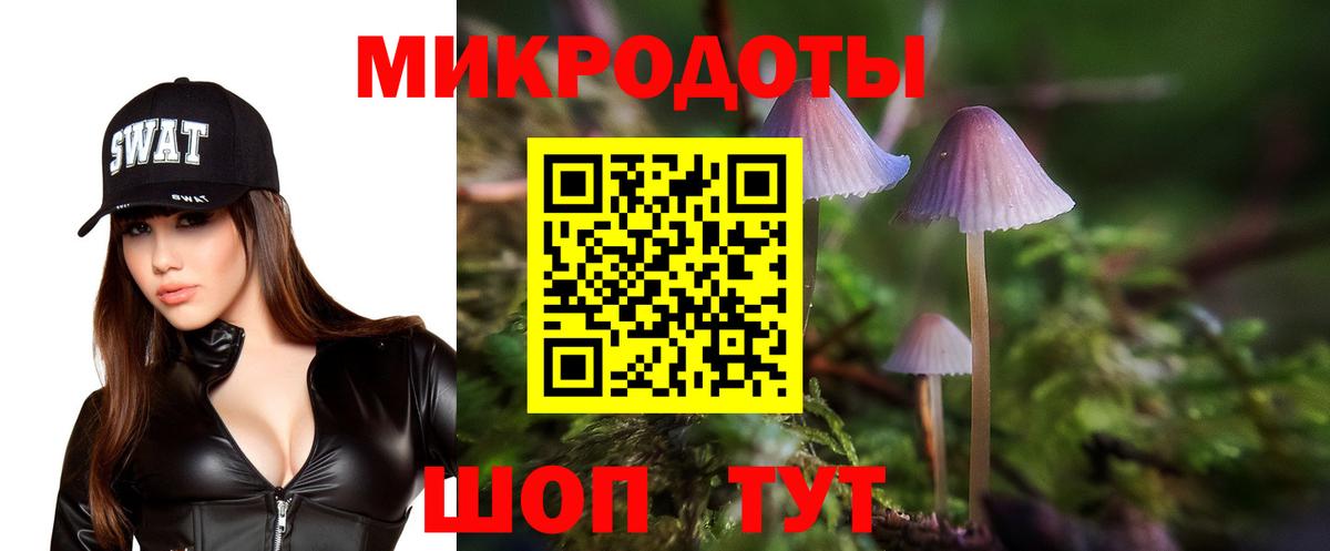 купить   Псилоцибиновые грибы Psilocybe  Майкоп  Вход с VPN  Псилоцибиновые грибы GOLDEN TEACHER 
